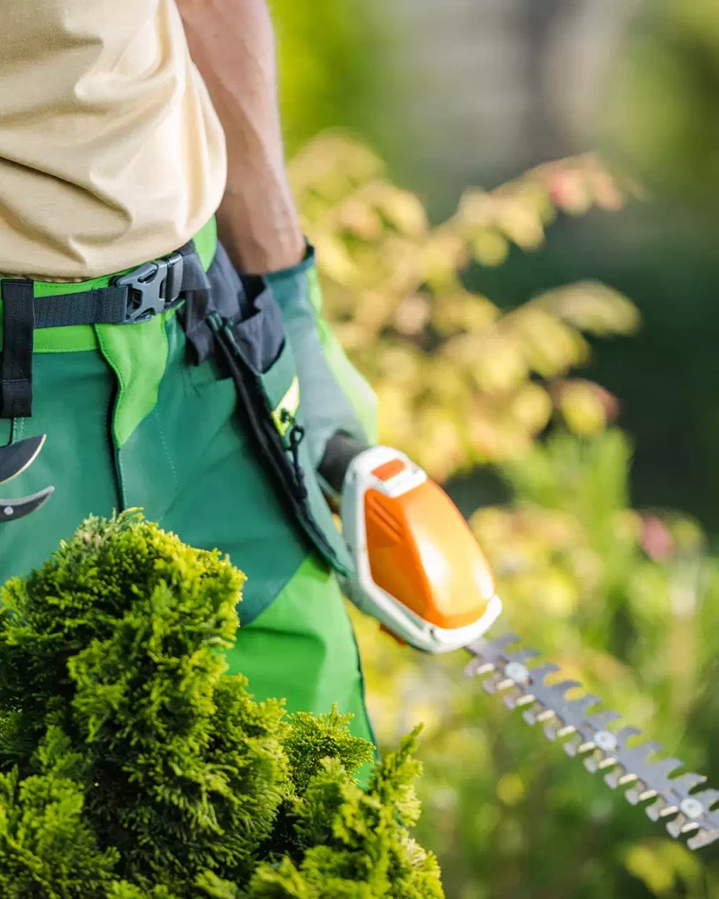 Réalisation, Les Jardins de JB, Paysagiste à Saint-Hilaire-de-Riez